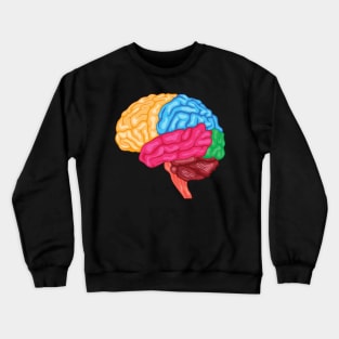 Human brain Anatomy Crewneck Sweatshirt